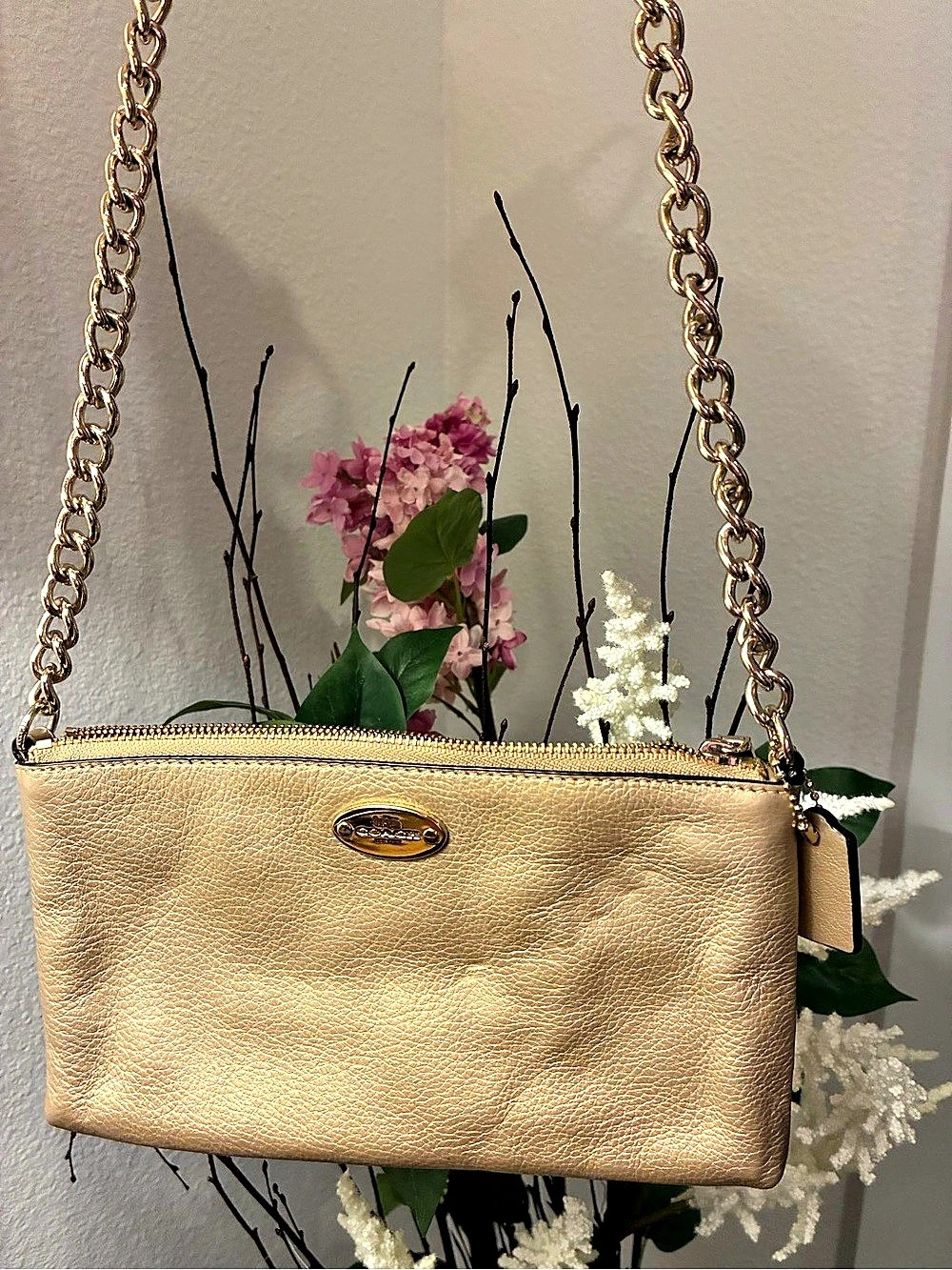 Coach Gold Chain Crossbody Bag